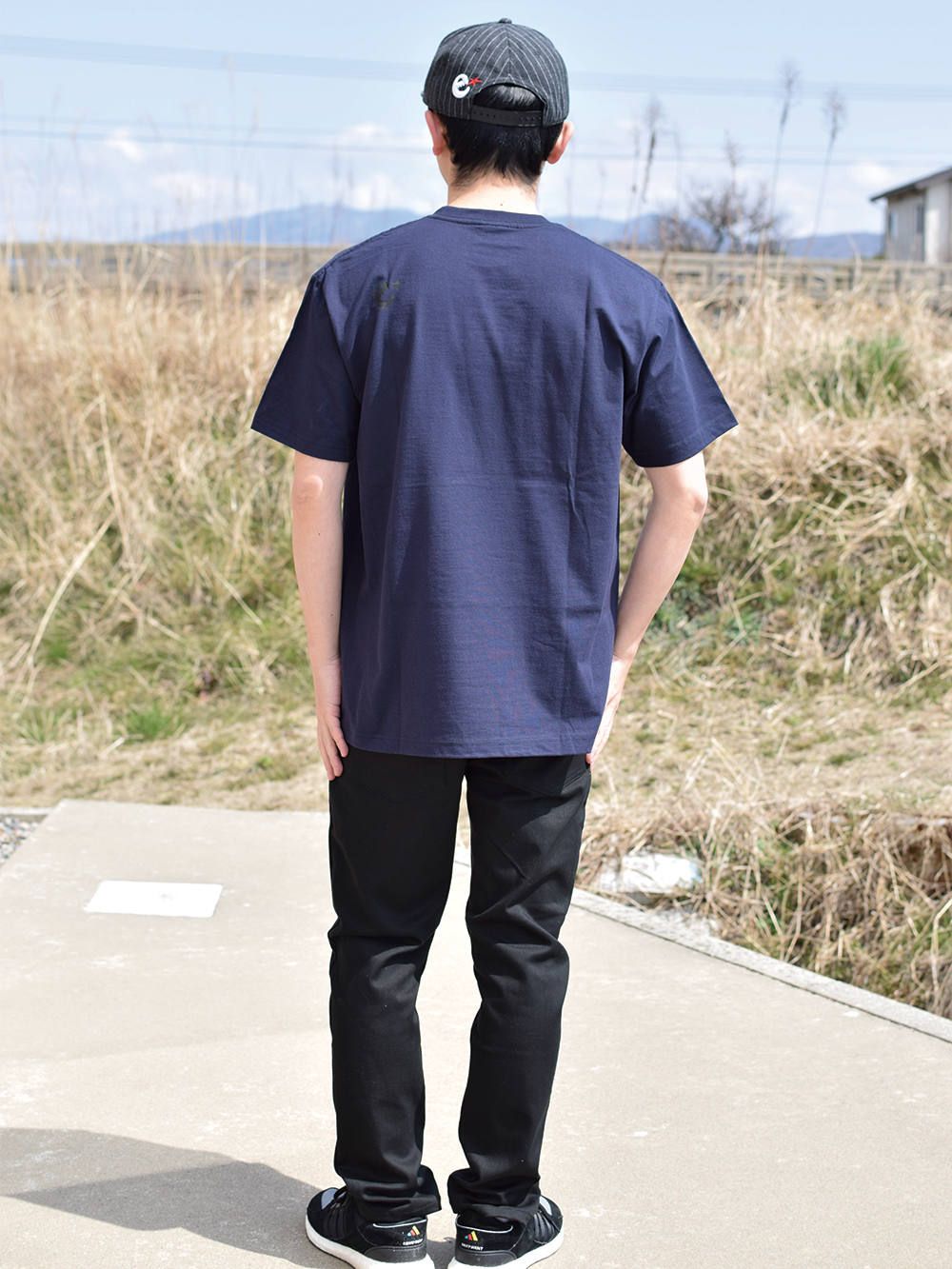 stargazer