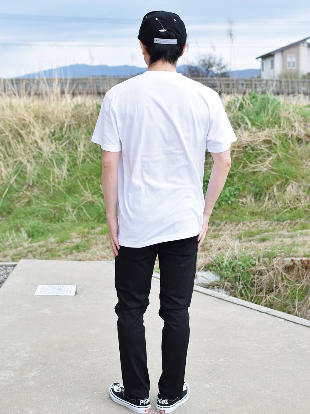 ZEBRA-T