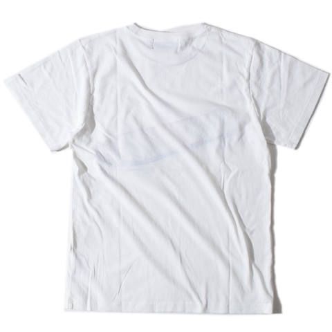 Push Skate T