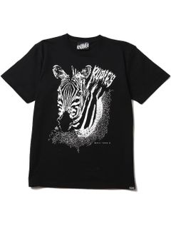 ZEBRA-T