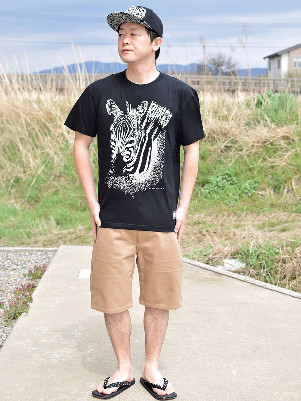 ZEBRA-T