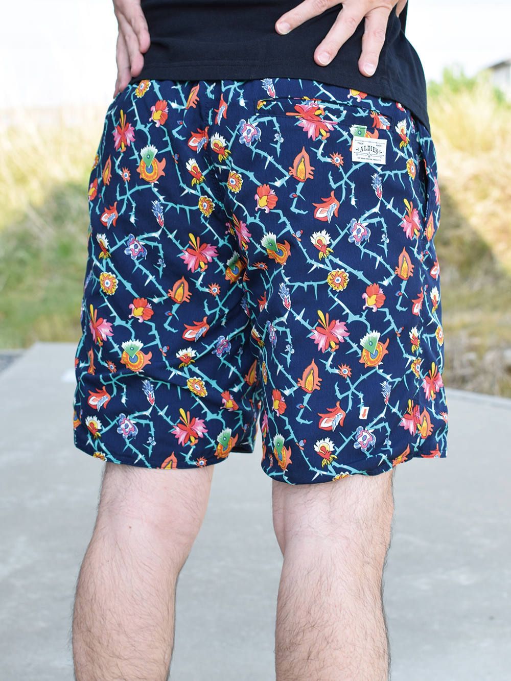 Thorn Reversible PT