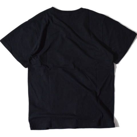 Push Skate T