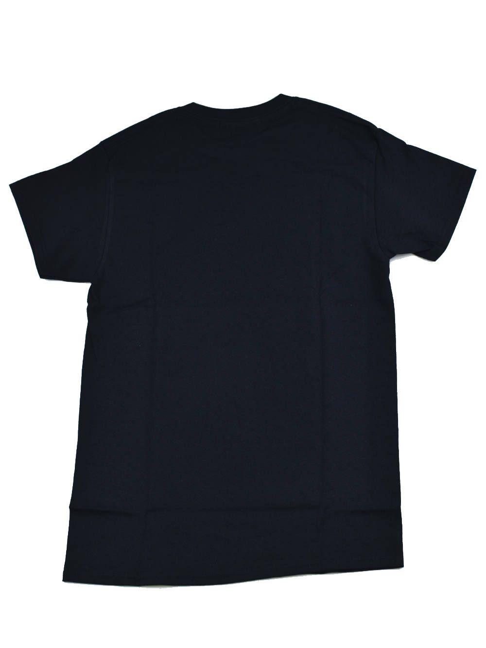 DESTRUCTIVE T-shirt / 2P GREEN