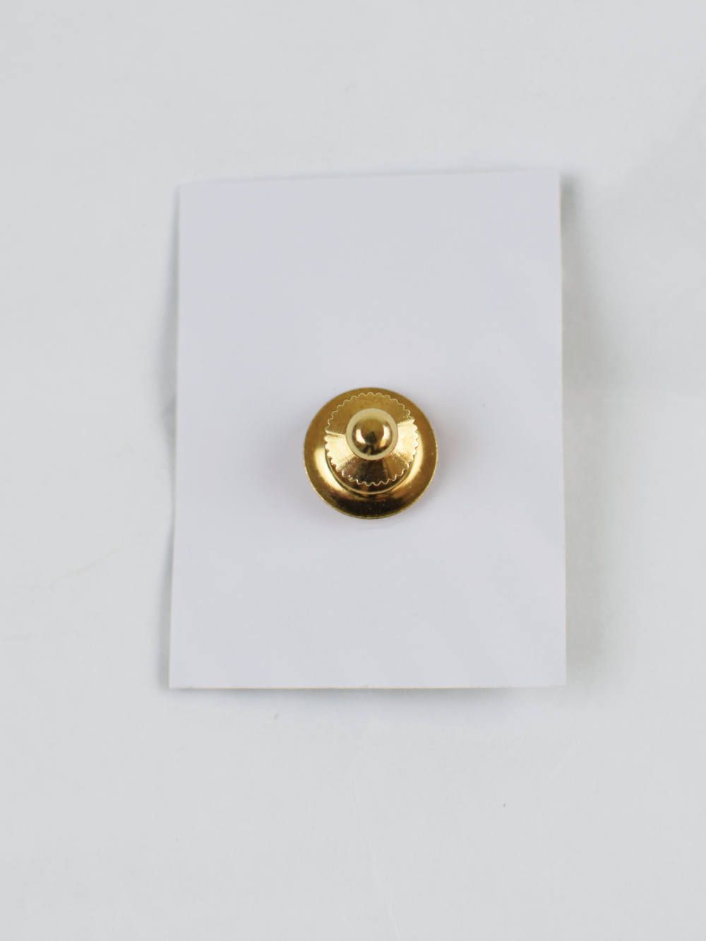 RC-PINS