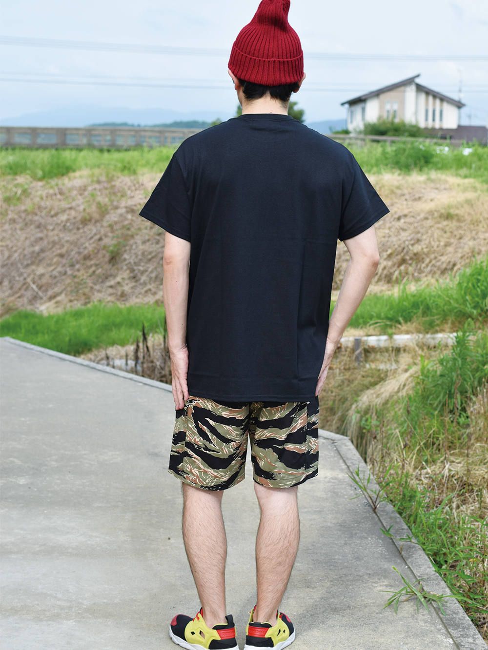 BEAST-T