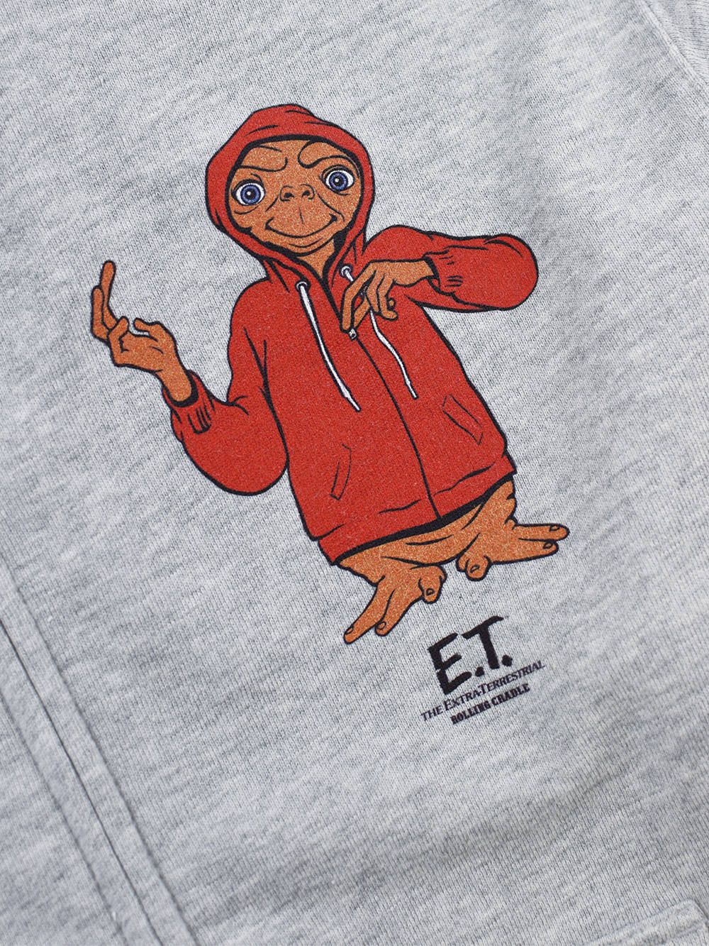 RCxE.T. ZIP HOODIE