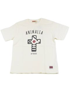 SAI S/S