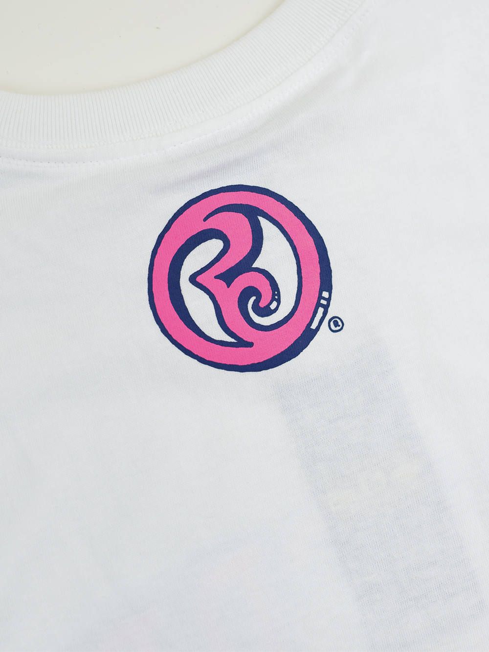 ROLLCRDL -PAINT-