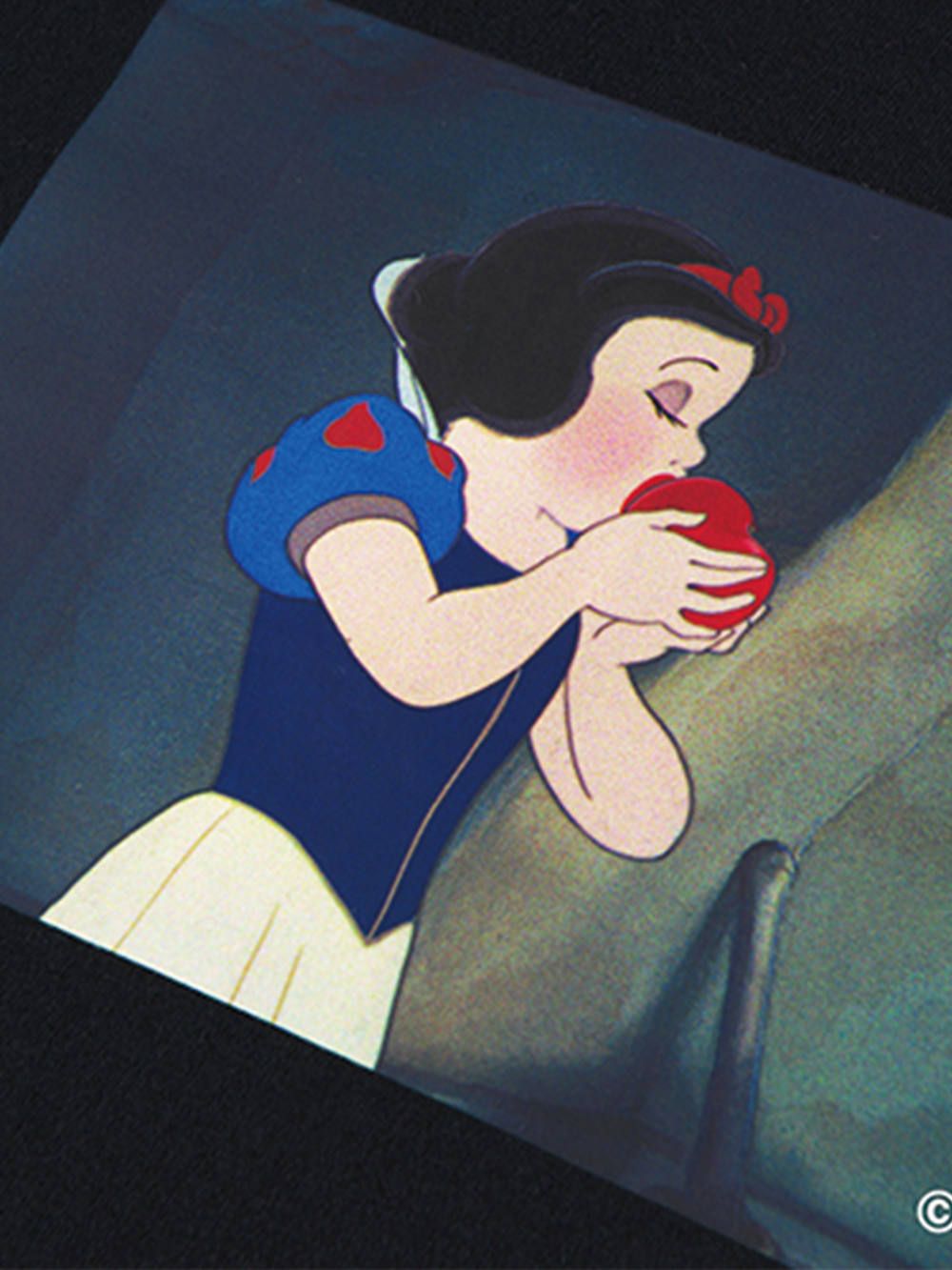 DISNEY T-SHIRT “Snow White and Seven Dwarfs”