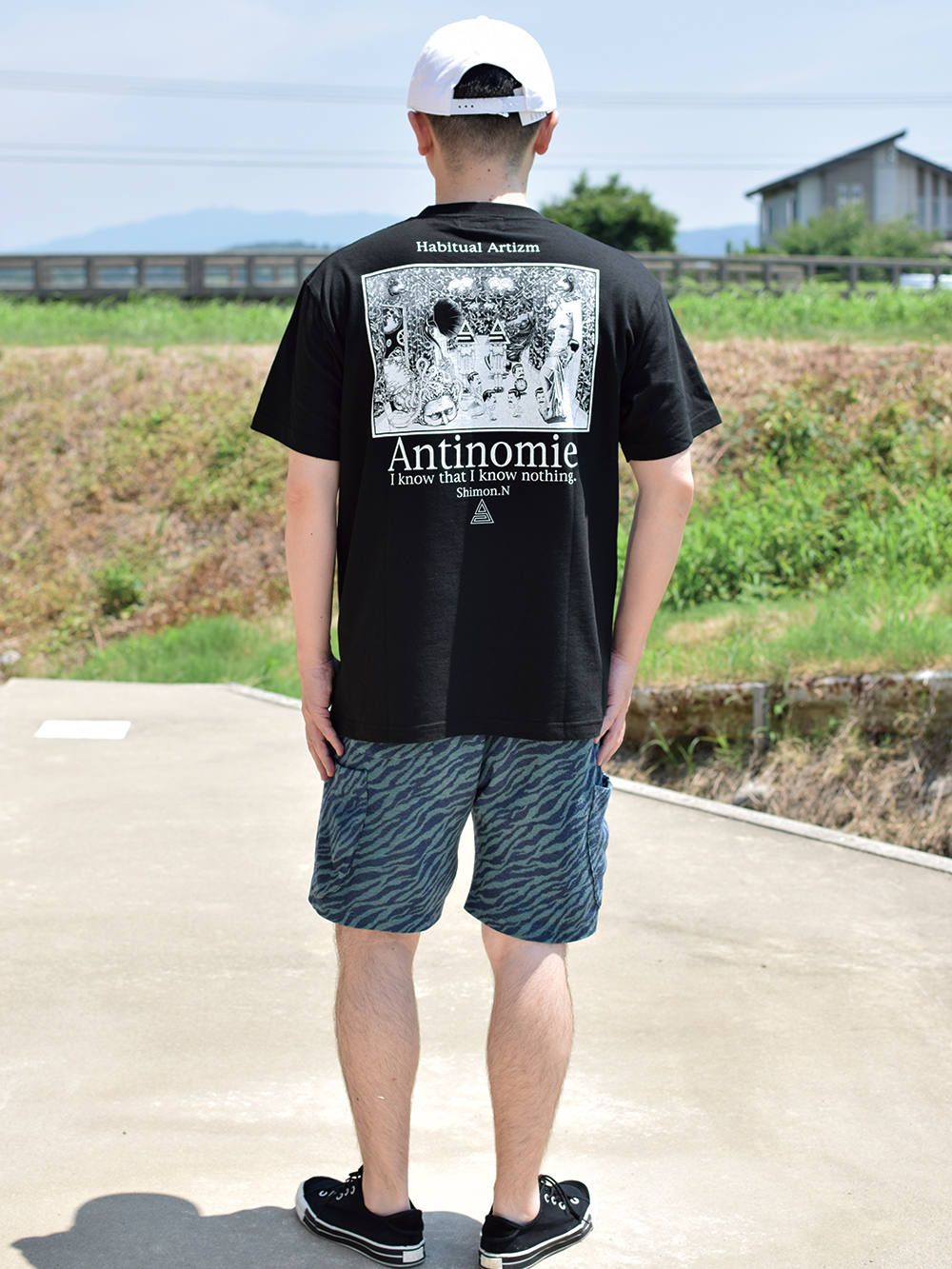 antinomie