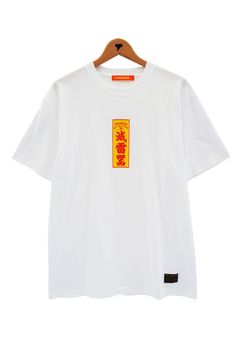 滅雷器 TEE