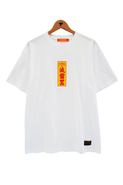 滅雷器 TEE