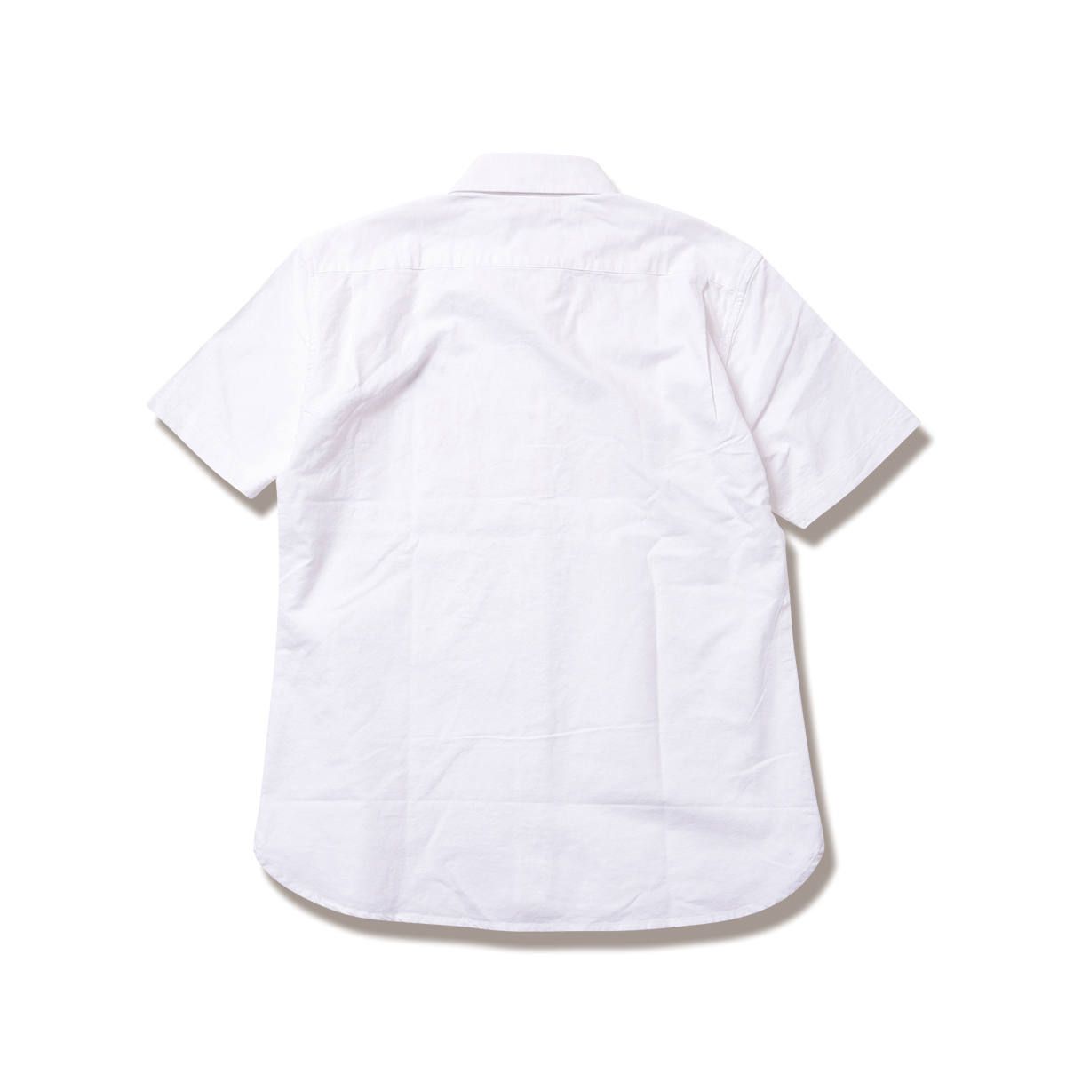 ARROGANT SHIRTS S/S : ROYAL RUSTIC