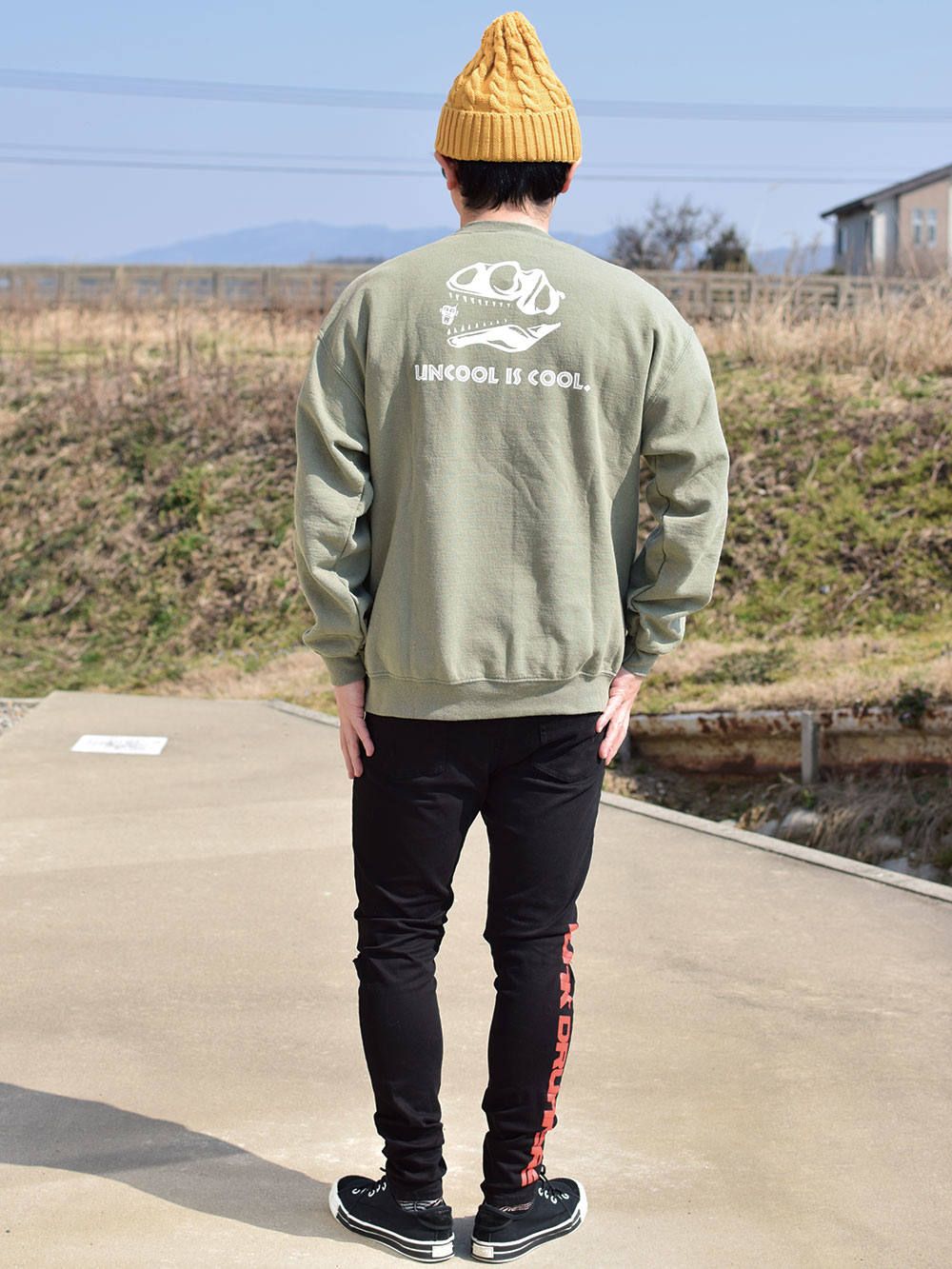 あいつパークトレーナー