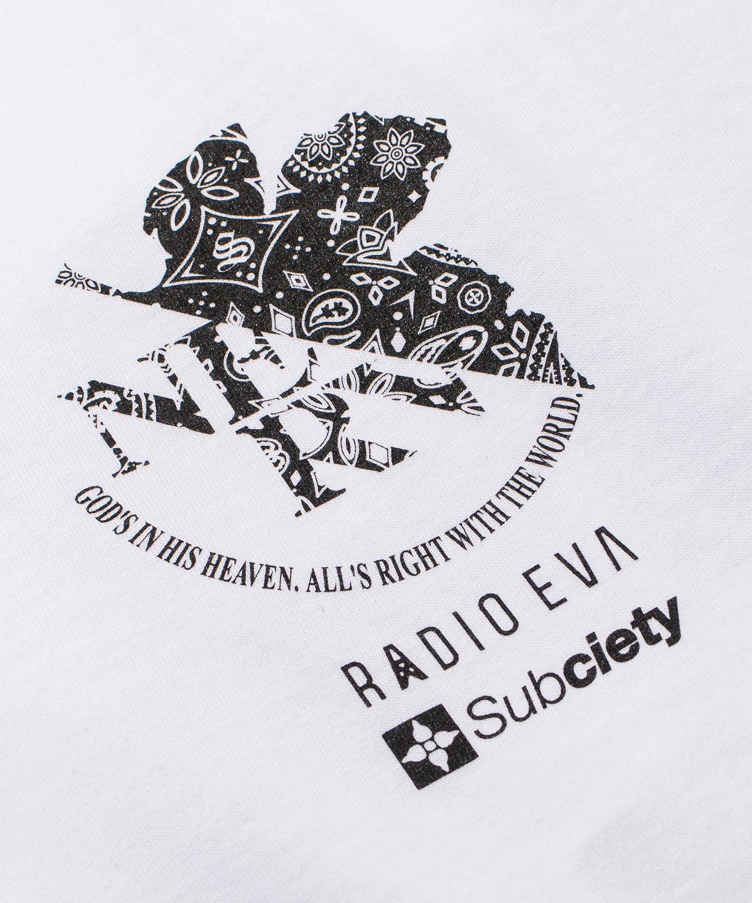 DAMAGED RATIO S/S