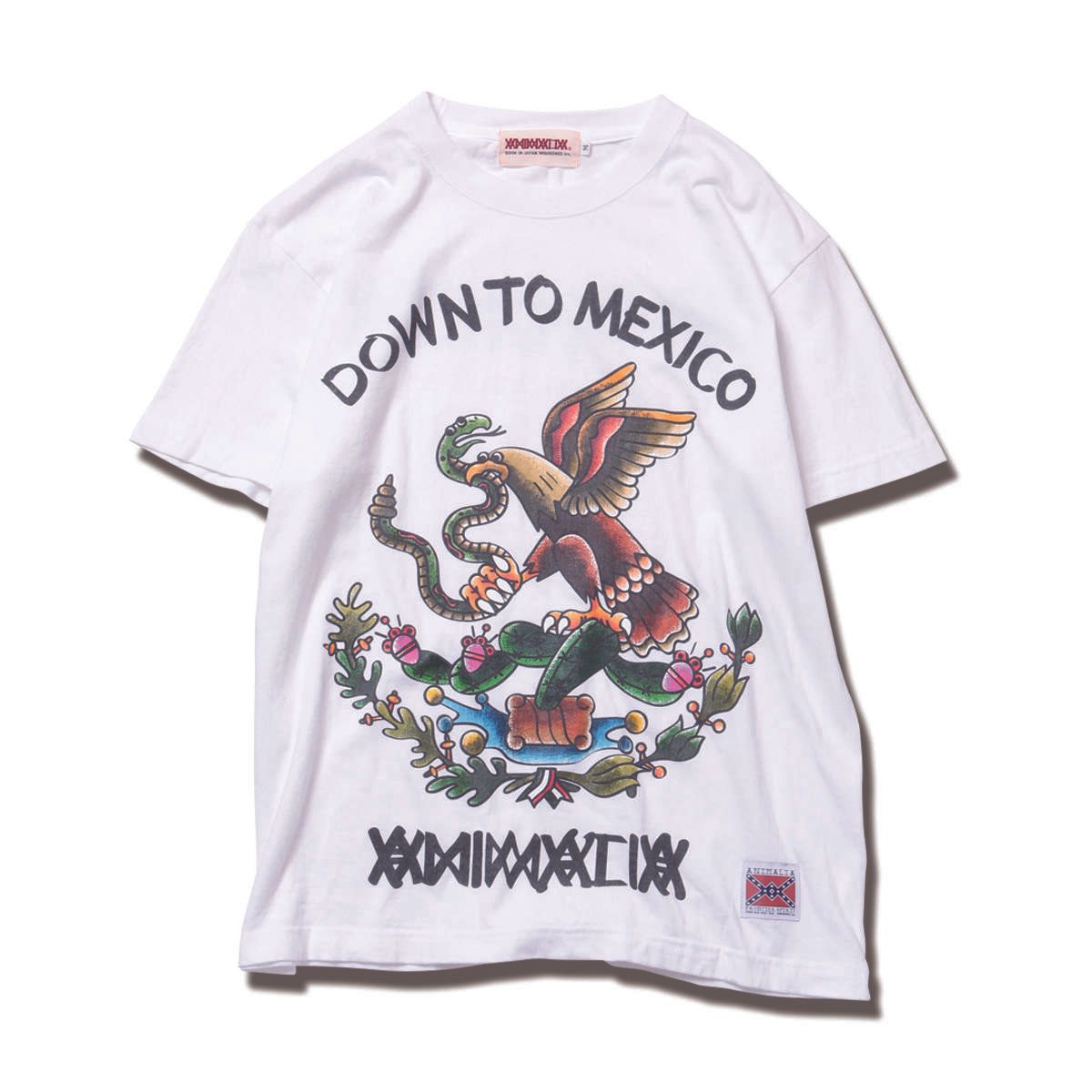 DOWN TO-MEXICO