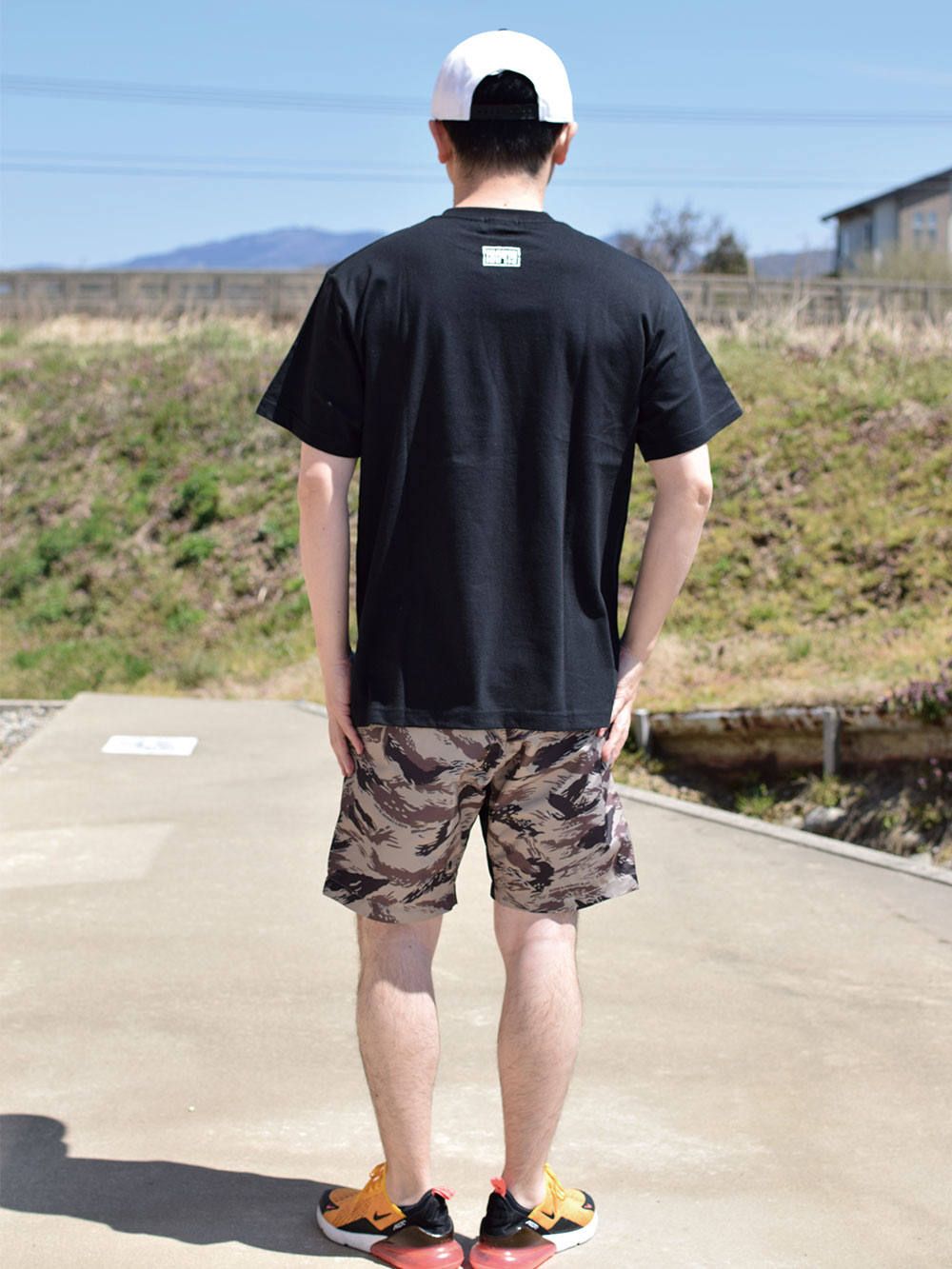 OWL-T