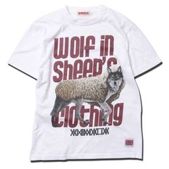 Wolf in sheep's Clothing