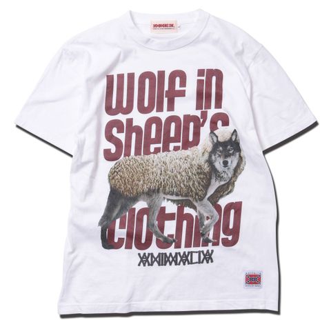 Wolf in sheep's Clothing