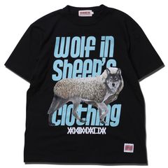 Wolf in sheep's Clothing