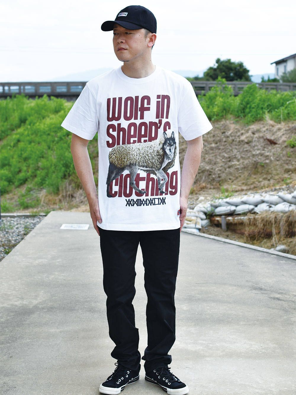 Wolf in sheep's Clothing
