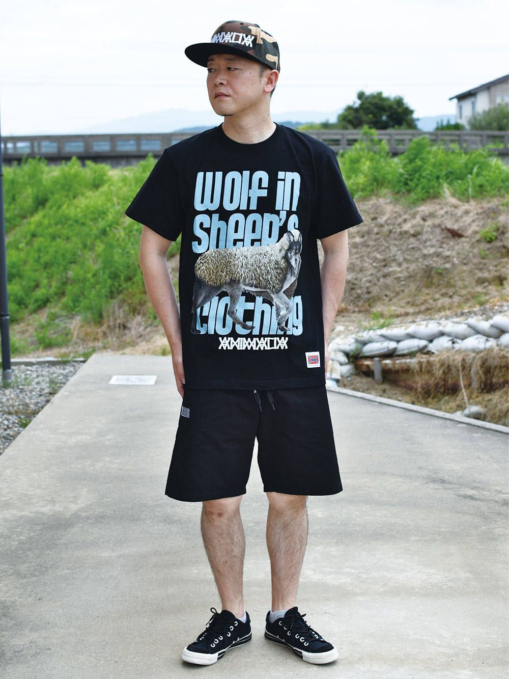 Wolf in sheep's Clothing