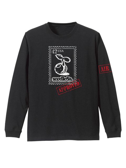 sd 42 AIR MAIL LS tee