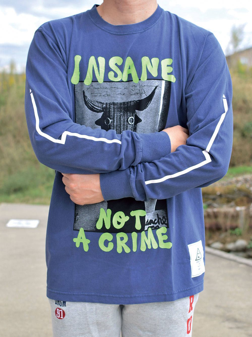 INSANE NOT A CRIME L/S T