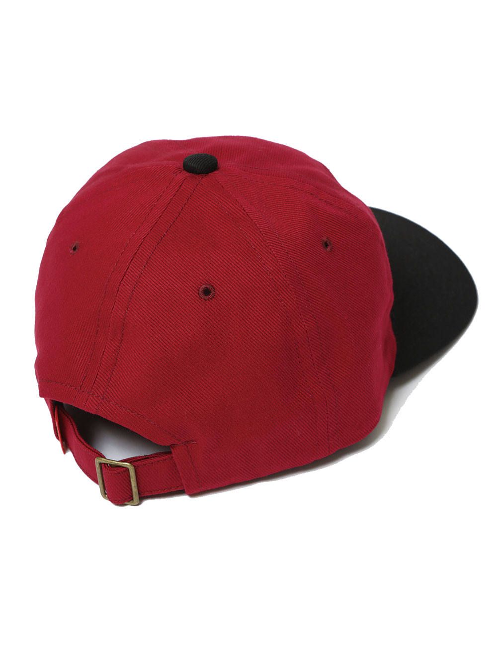 MIGHTY PANEL-CAP