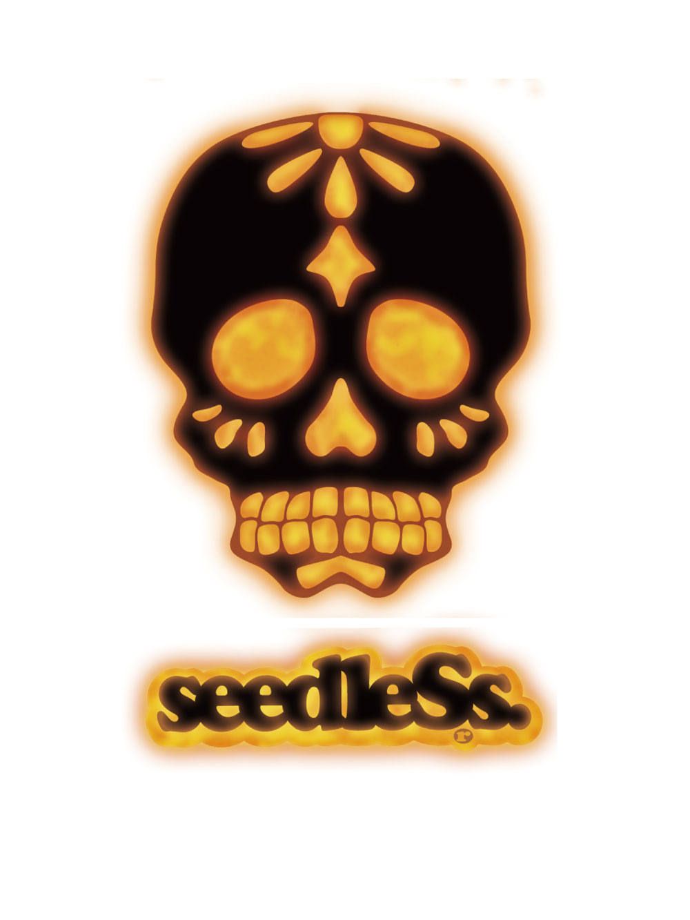 sd light up skull s/s tee