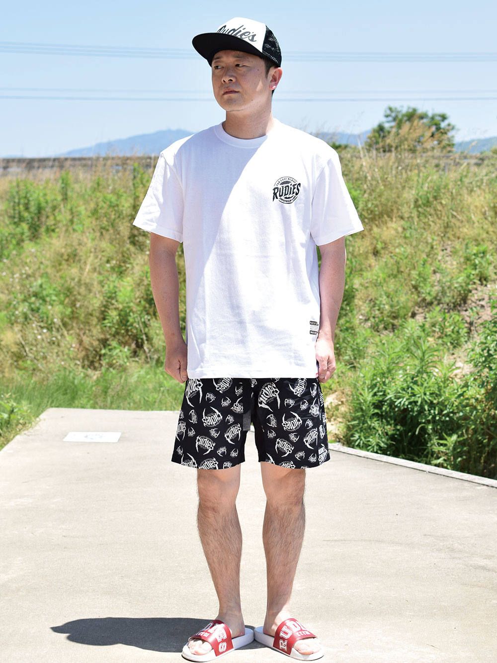 BRIGHT OWL-T