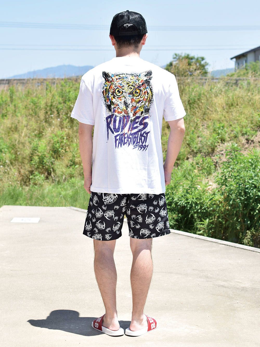BRIGHT OWL-T