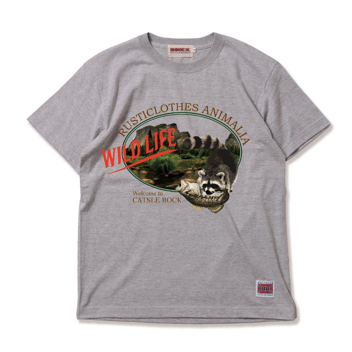WILD LIFE-Raccoon