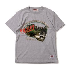 WILD LIFE-Raccoon