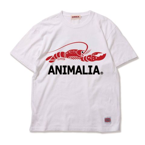 LOBSTER-