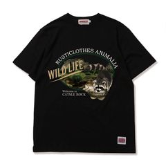 WILD LIFE-Raccoon