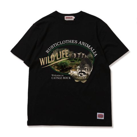 WILD LIFE-Raccoon