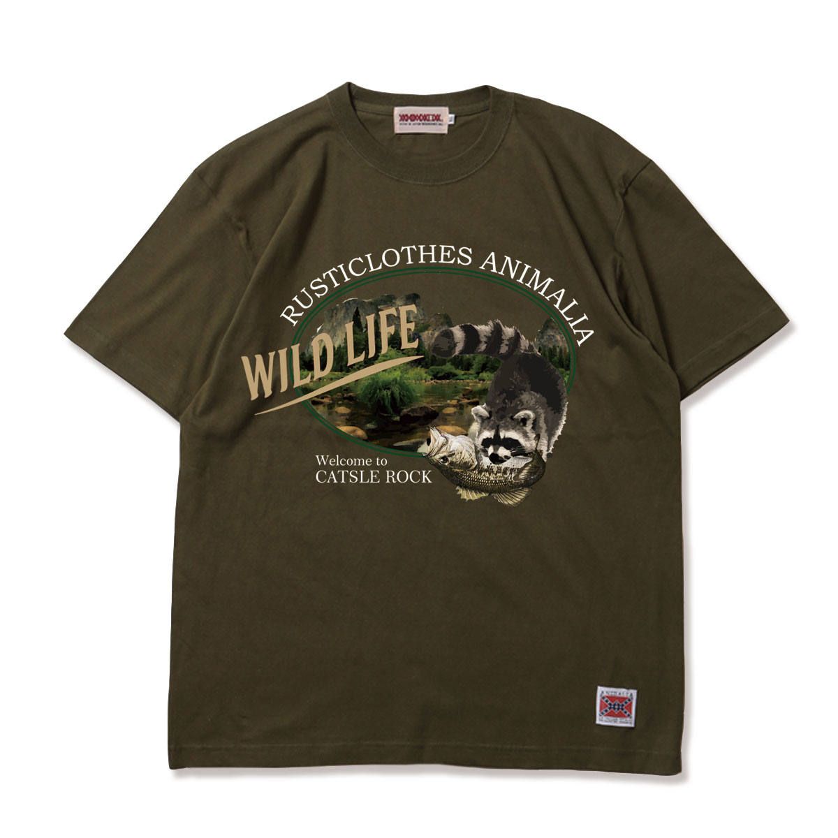 WILD LIFE-Raccoon