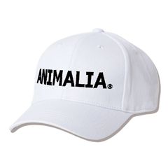 RR LOGO Middle Cap