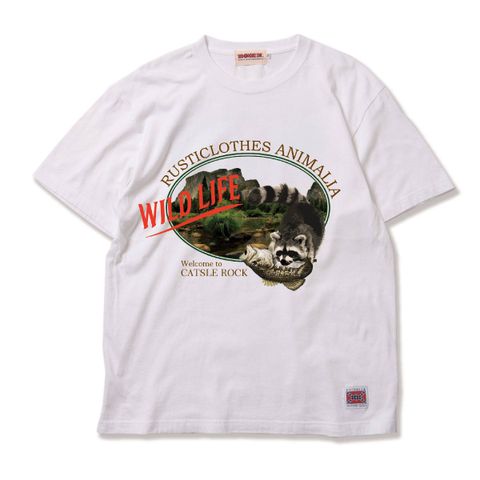 WILD LIFE-Raccoon