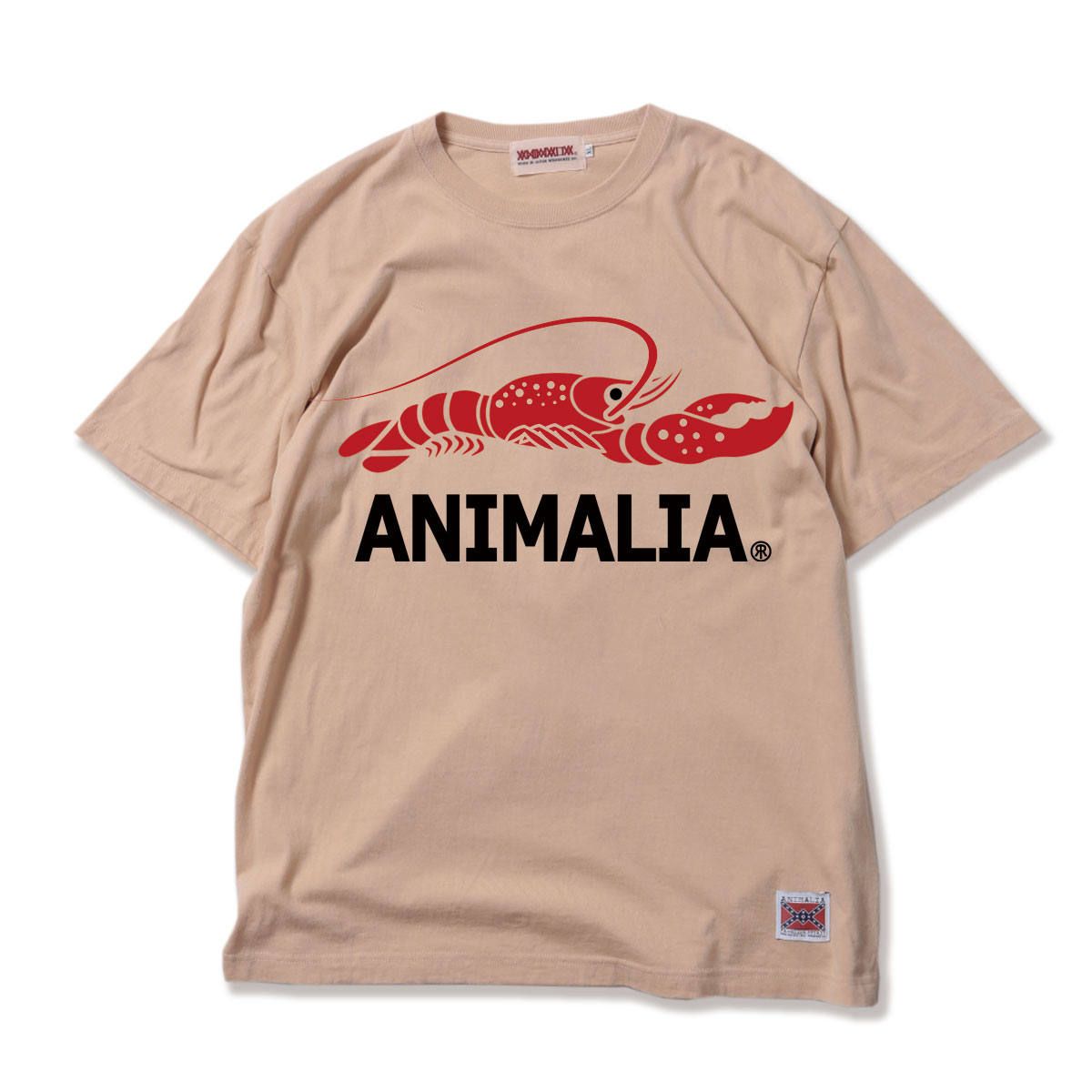 LOBSTER-