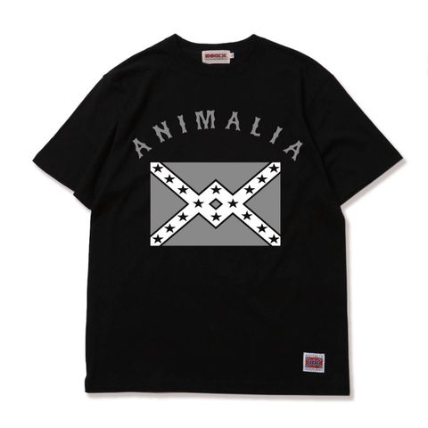 REBEL-FLAG
