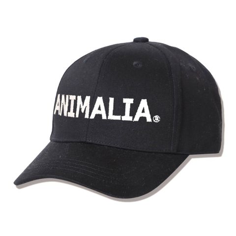 RR LOGO Middle Cap