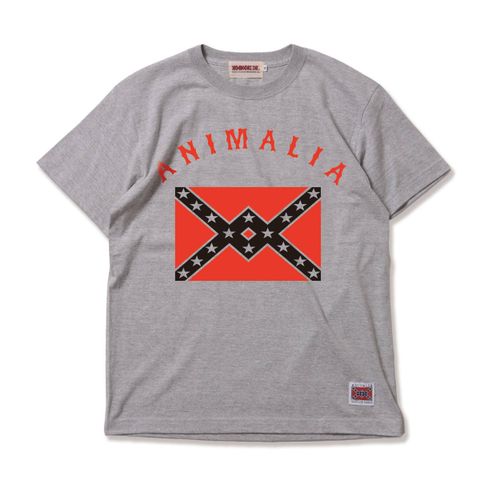 REBEL-FLAG