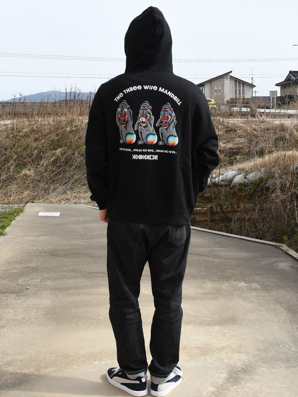 BIG SILHOUETTE P/O HOODIE - THE THREE WISE MANDRILL