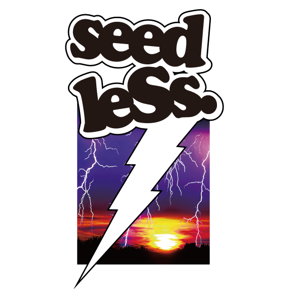 THUNDER BOLT s/s tee