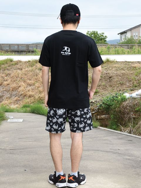 大人気シリーズ!