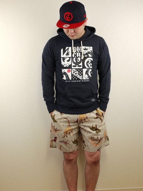 ダイナソー!