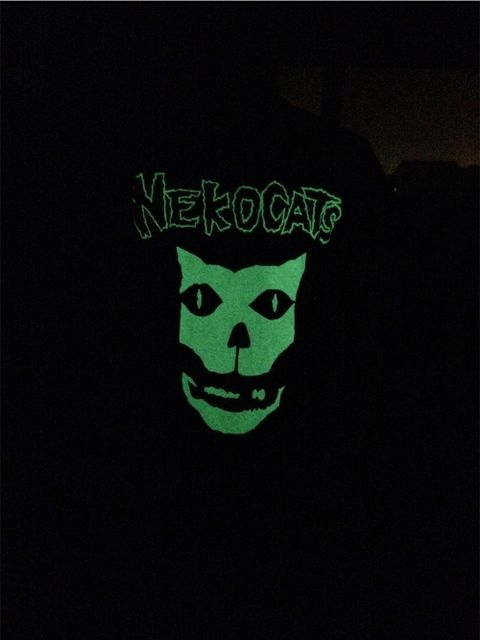猫猫!